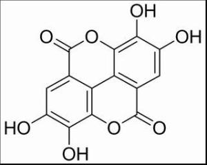 鞣花酸476-66-4