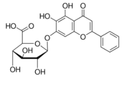 黄芩苷21967-41-9