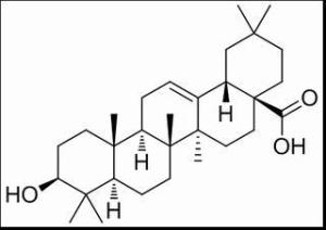 齐墩果酸508-02-1