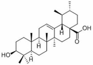 熊果酸77-52-1