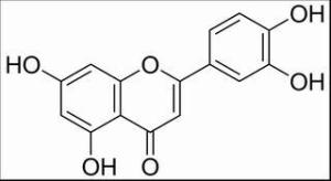木犀草素491-70-3