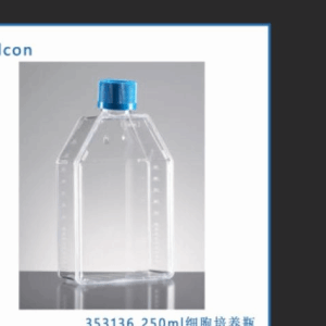 Corning*Falcon 353136  T75透气培养瓶 500mL【5个/包，12包/箱】