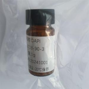 4',6-二脒基-2-苯基吲哚二盐酸盐