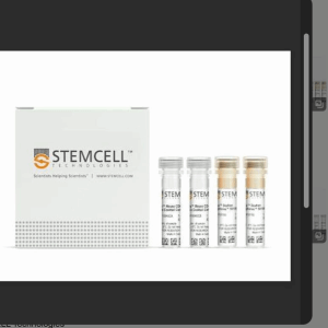 stemcell  19863  EasySep Ms Pan DC Enrich Kit II  现货