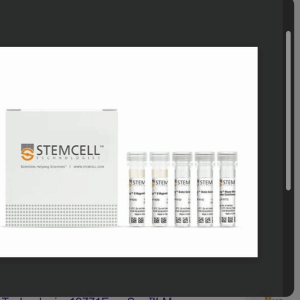 stemcell  19771  EasySep Mu Mesen  Cell Enrich Kit    现货