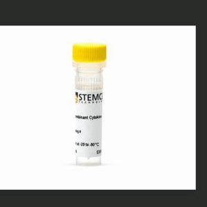 stemcell  78001  Hu/Ms Recom  A, 10 ?μ   现货