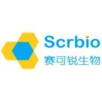 赛可锐（Shanghai SCR-Biotech Co., Ltd.）--氨基氧基-PEG-BCN、无铜点击化学接头、新型 PEG 接头