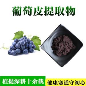 葡萄皮提取物  葡萄皮浓缩粉