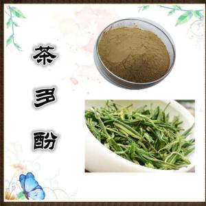 茶多酚  绿茶提取物