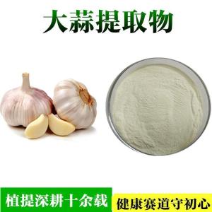 大蒜提取物 高比例生产 大蒜浓缩粉  浓缩比高