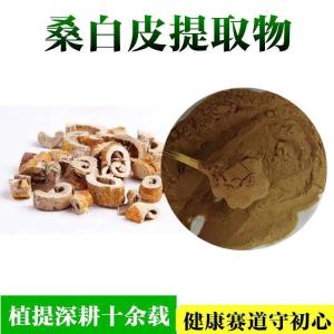 桑白皮提取物  桑白皮浓缩粉