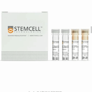 stemcell   18945  EasySep Ms CD45 Pos Sel Kit  