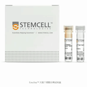 stemcell    19641   EasySep Rat T Cell Isolation Kit