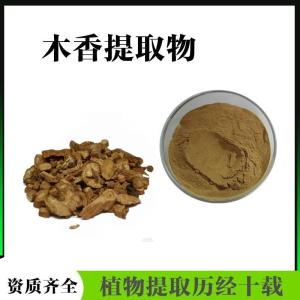 木香提取物  高倍浓缩  木香浓缩粉  大厂品质