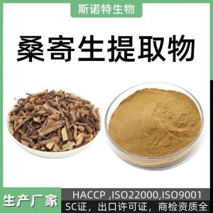 桑寄生提取物 多规格比例浓缩 可拿样定制 一公斤起订