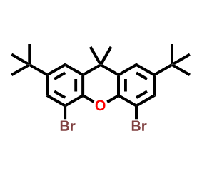 4,5-二溴-2,7-二叔丁基-9,9-二甲基氧杂蒽 CAS号:130525-43-8  科研产品 自有实验室 质量保证 表征齐全  量大从优 高校及研究所 先发后付