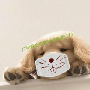 CPIV犬副流感病毒核酸PCR检测试剂盒（供兽医站）