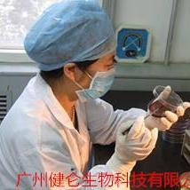 肺 炎衣原体IgG抗体IFA荧光法检测试剂盒 说明书