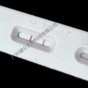 炭疽杆菌抗原(BA-Ag)抗体检测卡 说明书