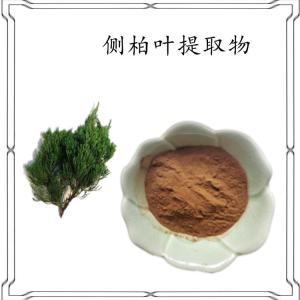 侧柏叶提取物 30:1侧柏叶粉 提取液浓缩粉水溶性原料