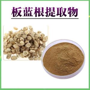 板蓝根提取物 包邮