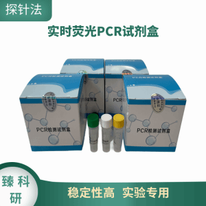 犬细小病毒(CPV)核酸检测试剂盒 产品图片