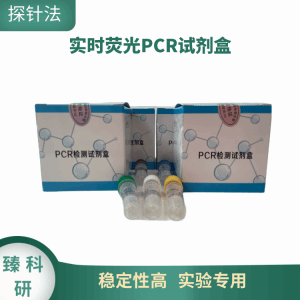 肠炎沙门氏菌(SE)核酸检测试剂盒 产品图片