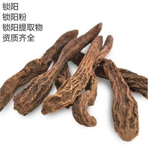 锁阳提取物 锁阳粉 10:1规格 棕黄色粉末 可试样 生物碱