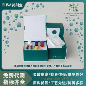 人γ氨基丁酸A型受体γ2GABRG2 elisa试剂盒 产品图片