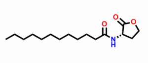 十二烷酰-L-高丝氨酸内酯 CAS号:137173-46-7科研专用 质量保证 高校及研究所支持货到付款