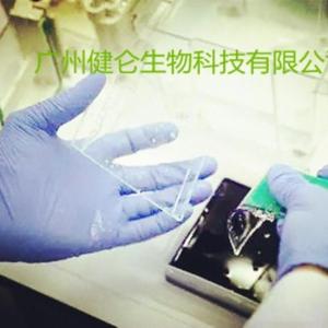 猴痘病毒抗原（MPV-Ag）诊断试剂盒（荧光免疫层析法）