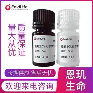 超敏ECL化学发光液