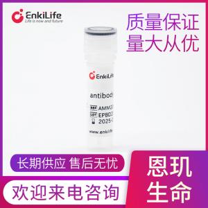 PCBP2 Rabbit Monoclonal Antibody