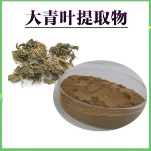大青叶提取物  当天发货