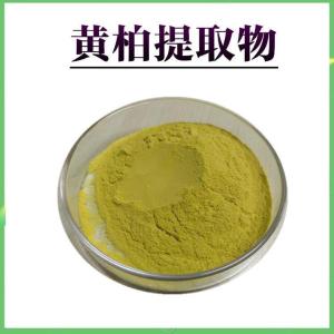 黄柏提取物 大厂生产