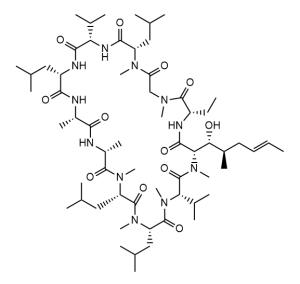 环孢素杂质 CAS：108027-45-8