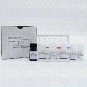 dsRNA(修饰)定量检测试剂盒(酶联免疫法)2.0 产品图片