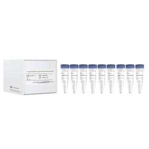 T7 High Yield RNA Transcription Kit (N1 -Me-Pseudo UTP)