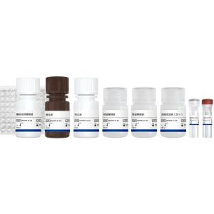 T7 RNA Polymerase定量检测试剂盒(酶联免疫法) 产品图片