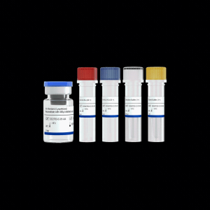 Add&Read® Human IL6  Quantitative Detection Kit(Customized) 产品图片