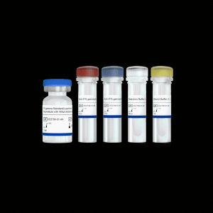Add&Read® Human IFN gamma  Quantitative Detection Kit