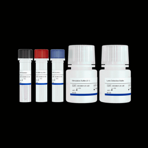 Add&Read® cAMP Detection Kit 产品图片