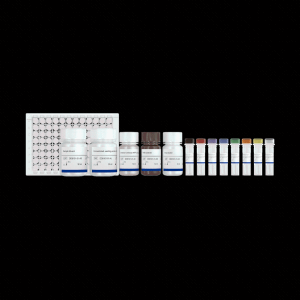 CHO HCP ELISA Kit 产品图片