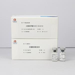 大肠埃希氏菌CMCC(B)44102（定量）	HBJZDL069    	10支/盒 产品图片