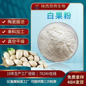 白果提取物保健食品原料备案白果生粉实力工厂现货批发白果粉