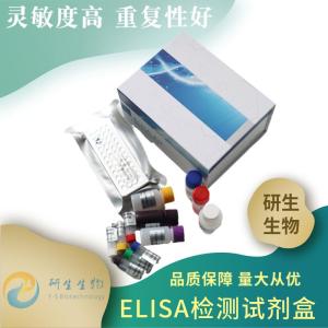 Human ST  elisa试剂盒规格 产品图片