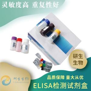 人热休克蛋白60elisa试剂盒说明书 产品图片
