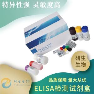 ADMA，人不对称二甲基精氨酸elisa试剂盒供应 产品图片