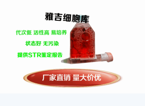 小鼠皮肤成纤维细胞价格 产品图片