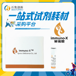 小鼠B細胞分離試劑盒